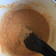 El cooksnap de Pilar Lemos Carrera cuando hizo Carrot Cake.