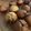 El cooksnap de Monyvmr cuando hizo Muffins con pepitas de chocolate con Thermomix.