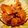 Probal Ghosh's cooksnap of when they made নিরামিষ আলু ফুলকপির দম(niramish aloo fulkopir dum recipe in Bengali).