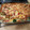 El cooksnap de Joaquin Lopez cuando hizo Brócoli con jamón y queso al horno.