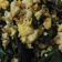 รูป Cooksnap ของ Praewpun Phaopuree เมื่อเขาทำ ใบเหลียงผัดไข่