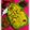 Sumita Roychowdhury's cooksnap of when they made ভোগ(Bhog recipe in Bengali).