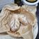 Cooksnap dari Nurul Art untuk resep Chocochips Bread (Tanpa Telur, Tanpa Ulen, Overnight Dough)