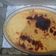 Cooksnap dari Momiawth untuk resep Puding karamel (cream brule.)