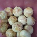 Cooksnap dari Rosi untuk resep Nastar Keju Lembut & Lumer di Mulut