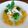 Cooksnap dari Risma Fidyah Putri untuk resep Steam ayam sayur