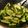 x's cooksnap of when they made Spicy Asian Cucumber Salad.
