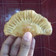 Cooksnap dari tiffanyrahmaa untuk resep Pie apel goreng