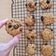 El cooksnap de Mate Amargo 🧉🍪 cuando hizo Galletas Base de Avena.