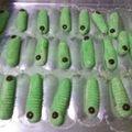Cooksnap dari Iie Indah untuk resep Caterpillar cookies
