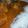El cooksnap de 💞Guerita Rodriguez 💞 cuando hizo Coliflor en salsa!!!.