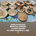 Cooksnap dari Diny Susilawati untuk resep 🍰Bolu Air Satu Telur Super Lembut🍰
