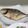 Ya 的 香煎白鯧魚 cooksnap