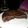 Cooksnap dari Dita Permatasari untuk resep Brownies Panggang Praktis