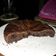 Cooksnap dari Dita Permatasari untuk resep Brownies Panggang Praktis