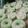 Cooksnap dari Mbk Irin untuk resep Putu Ayu Ekonomis anti gagal