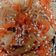 Cooksnap dari Susan Susanti untuk resep Japchae