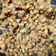 KALPA's cooksnap of when they made Masala moong recipe in Gujarati.
