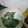 Cooksnap dari Indah Marini untuk resep Tumis Kuah Bayam jagung plus Teri Nasi (Mpasi 1+)