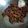 Cooksnap dari Enny Abdullah untuk resep Gore Gore Daging Sapi