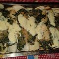 El cooksnap de tamara cuando hizo Canelones de acelga.