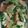 Elva 的 客家小炒 cooksnap
