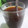 Cooksnap dari Ummu Yahya Nini untuk resep Wedang Jahe Cengkeh