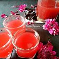 Sudha Agrawal का कुकस्नैप जब उन्होंने गोअन कोकम शर्बत-Goan kokum Sharbat recipe in Hindi ) बनाया था।