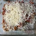 Cooksnap dari suksma untuk resep Ayam geprek keju bensu simple