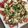 El cooksnap de Equipo Cookpad cuando hizo Ensalada caprese con aguacate.