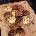 Chandana Pal's cooksnap of when they made চকো চিপস কুকিস (Chocochip cookies recipe in bengali).
