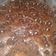 Cooksnap dari Dwi Setya untuk resep Brudel Coklat