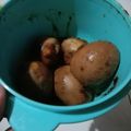 Cooksnap dari Meghan untuk resep Telur Bulat Kecap Ala Carl