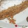 Cooksnap από ANGOLINA στη συνταγή Εύκολη μηλόπιτα με ελαιόλαδο και αλεύρι ολικής