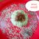 Kalpana Mavani's cooksnap of when they made જુવાર ચોખાનું ખીચું (Sorghum Riceflour Khichu Recipe In Gujarati).