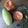 @AishwaryaTapashetti2013 का कुकस्नैप जब उन्होंने आम की चटपटी चटनी (aam ki chatpati chutney recipe in Hindi) बनाया था।