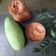 @AishwaryaTapashetti2013 का कुकस्नैप जब उन्होंने आम की चटपटी चटनी (aam ki chatpati chutney recipe in Hindi) बनाया था।