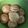 Cooksnap dari Indria Kristianti Putri untuk resep Poffertjes