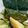 Cooksnap dari DaruDewi untuk resep Barongko pisang
