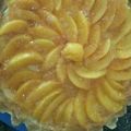 El cooksnap de Silvina Rébola cuando hizo Tarta de frutas fácil y economía.