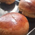 ALL THINGS LIFE's cooksnap of when they made Whole Wheat (Hamburger) Buns #4WeekChallenge.