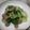 Cooksnap dari eva meylani untuk resep Ca Pokcoy bakso glinding
