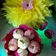 Mamta Malav का कुकस्नैप जब उन्होंने कलरफुल कोकोनट बर्फी और लड्डू (Colorful coconut barfi aur laddu recipe in Hindi) बनाया था।