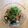 Jennifer Su 的 山東燒雞 cooksnap