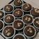 Cooksnap dari Tiara Andradevi untuk resep Cupcakes Super Enak, Moist and Ekonomis