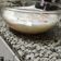 El cooksnap de Yohanna Ramis cuando hizo Arroz con leche 😋😋😋.