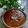 Mamta Roy का कुकस्नैप जब उन्होंने कश्मीरी राज़मा (kashmiri rajma recipe in Hindi) बनाया था।
