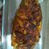 Cooksnap dari Osharinanda Monita untuk resep IKAN BAKAR Bumbu Rica-rica (#pr_ikan)