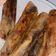 Cooksnap dari Martcelena Safitri untuk resep Piscok kulit lumpia
