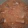 El cooksnap de saioa83 cuando hizo Alubias rojas con costilla.